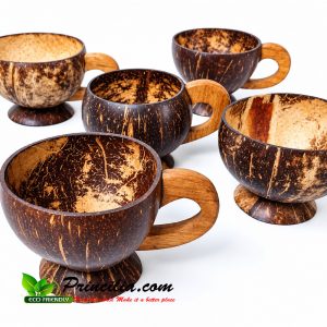 Coconut Shell Handle Cup