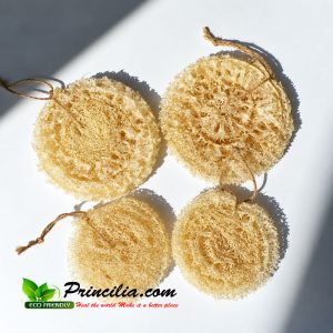 Small Round Donut Loofah