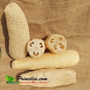 Loofah Gambas Emes Blustru